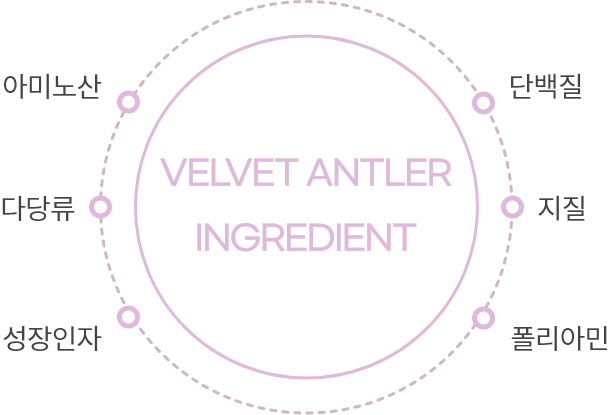 velvet antler
                        ingredient